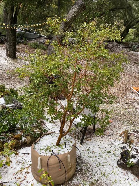 5D10CAEF-5C67-46F8-9115-4C0DCA30E7C9