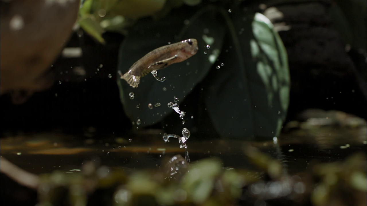 vlcsnap-2021-05-04-12h00m08s363