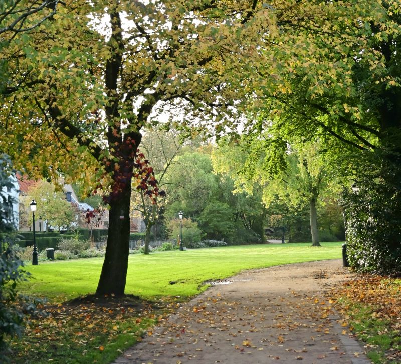 Otoño en Flandes - Blogs de Belgica - Día 2: El otoño en Brujas (8)