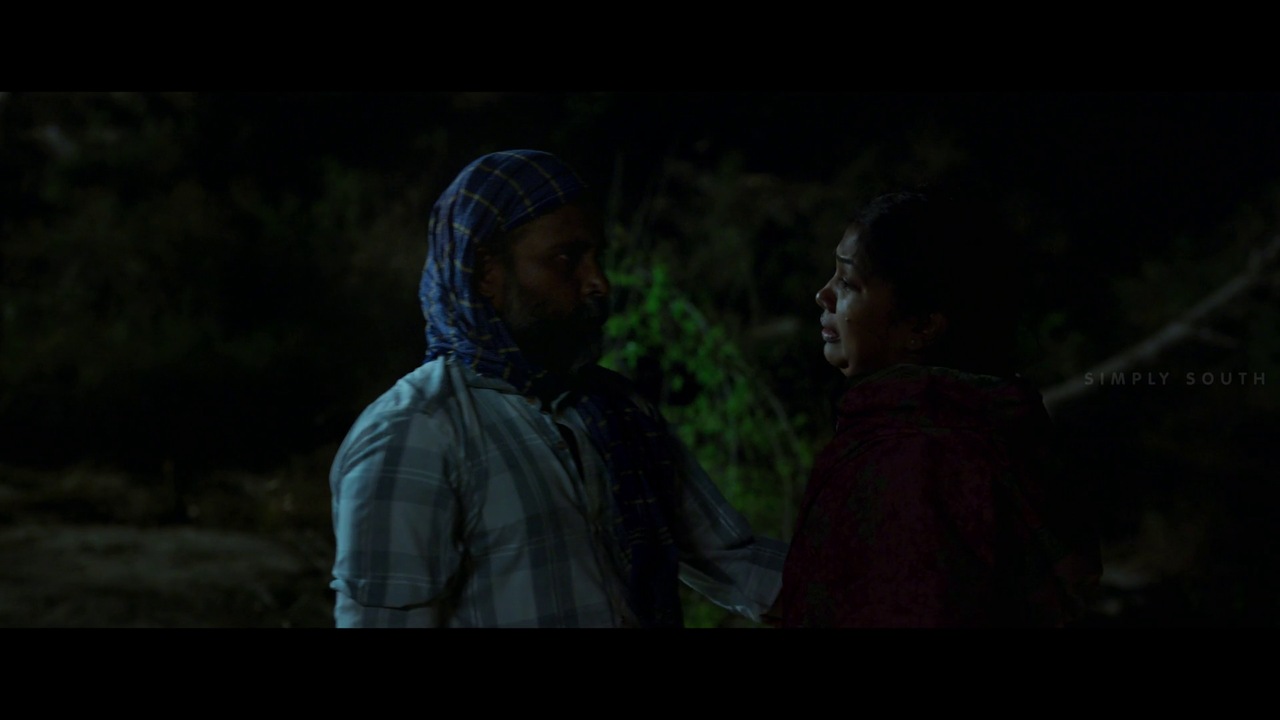 vlcsnap 2025 11 02 13h44m34s933