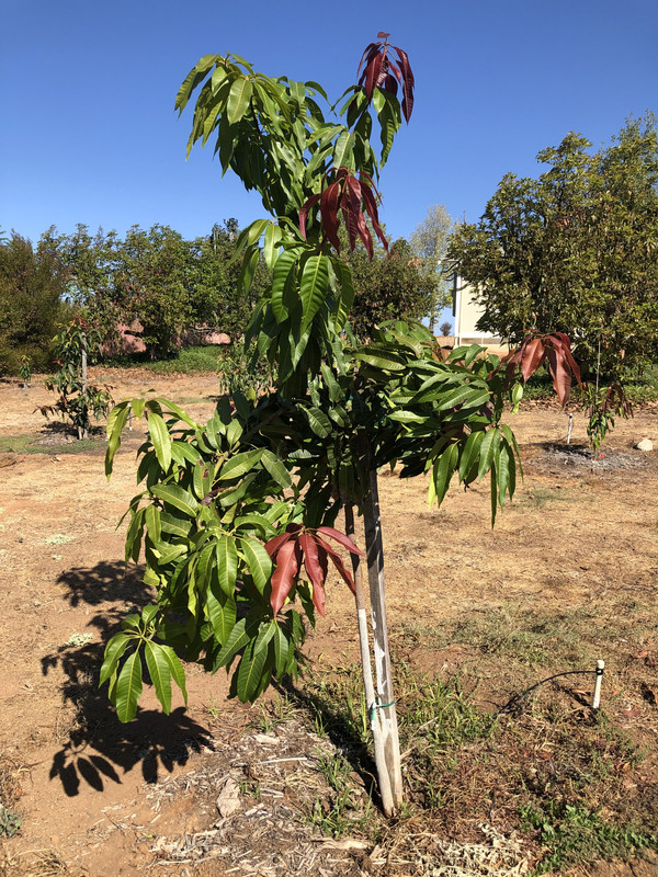 CD61AF91-2B66-478F-82AE-F1EBA073F841