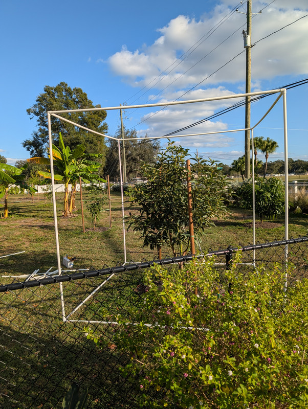 PXL 20251227 205741293