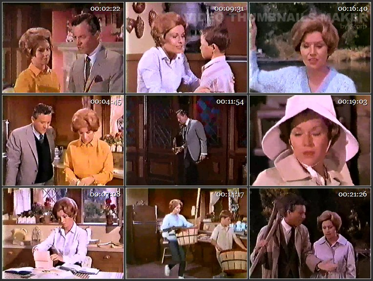 Please Don't Eat the Daisies - S01E04 - Dinner on the Rocks.mkv