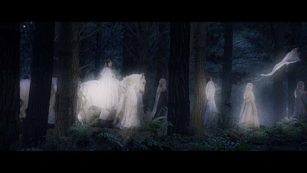 The Lord of the Rings- The Fellowship of the Ring (EXT.) PT. 1.mkv_snapshot_00.45.47_[2020.12.05_22.