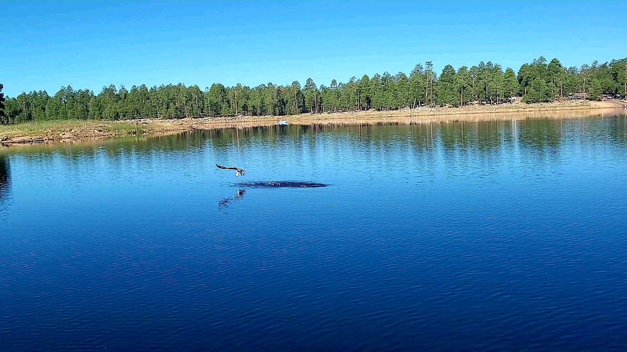 VideoCapture_20210802-183359
