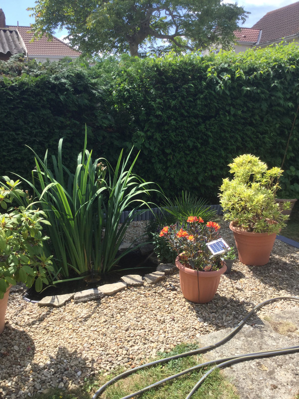 34231523-BEBC-48BA-8C50-18D2C46E243D