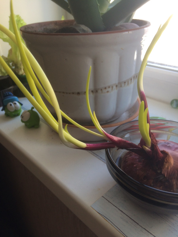 69FFB0C2-AA95-40A6-9394-C8542C8AB54A