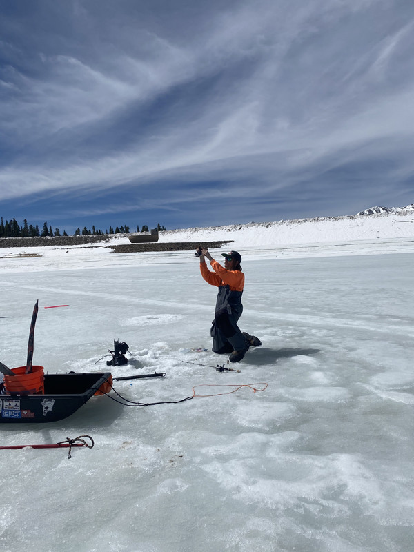 BC94D605-2D63-4757-82CF-027F8CDCF3D0