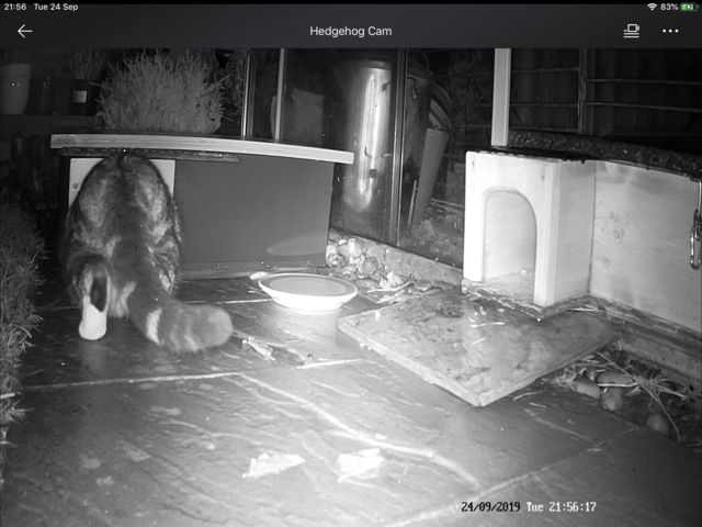 F23F027F-2DDC-4C19-ADD7-DBEF9696520C