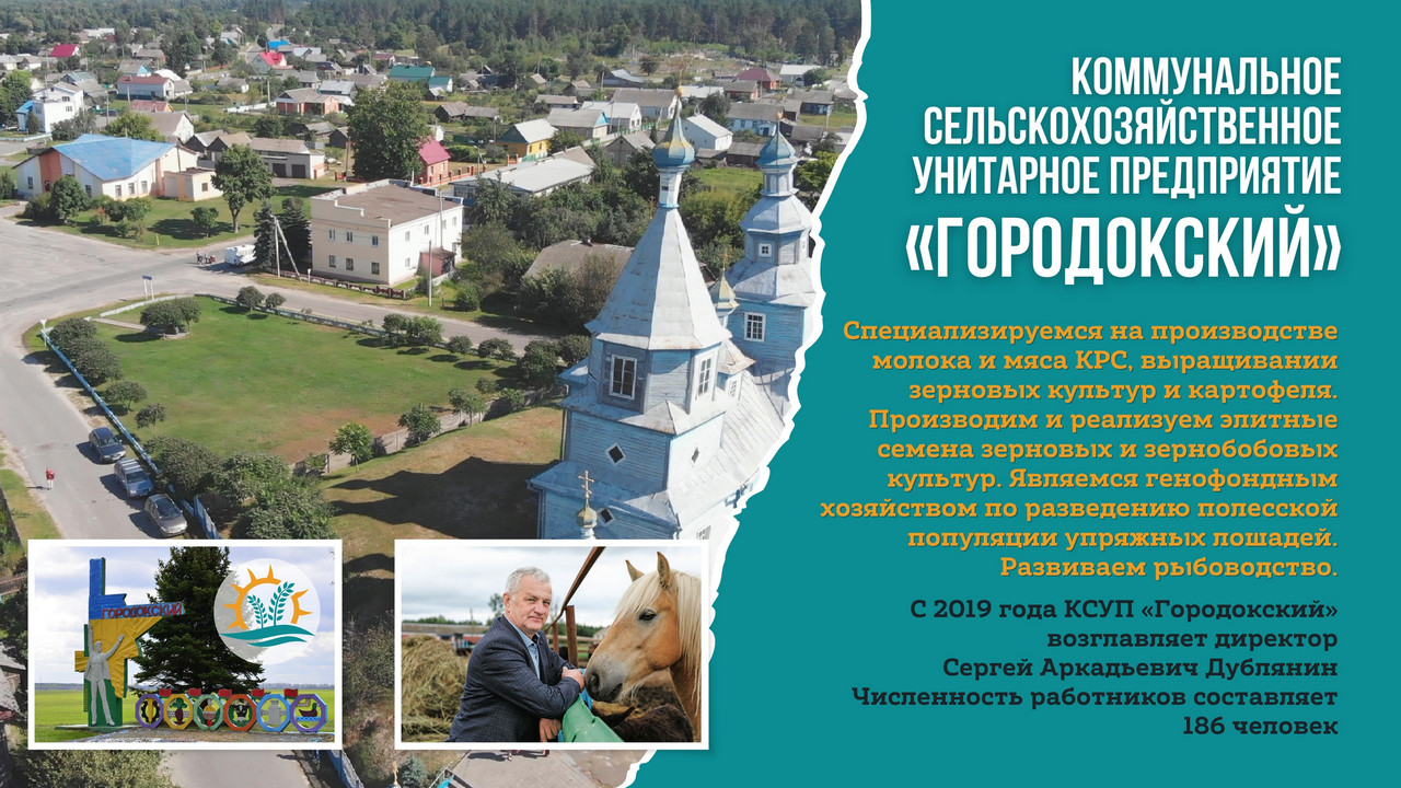 Городокский