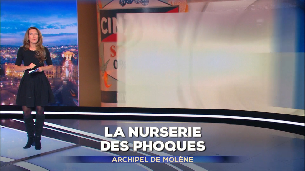 2023-01-27_20_00_TF1_Le-20h.mp4_snapshot_03.59.105