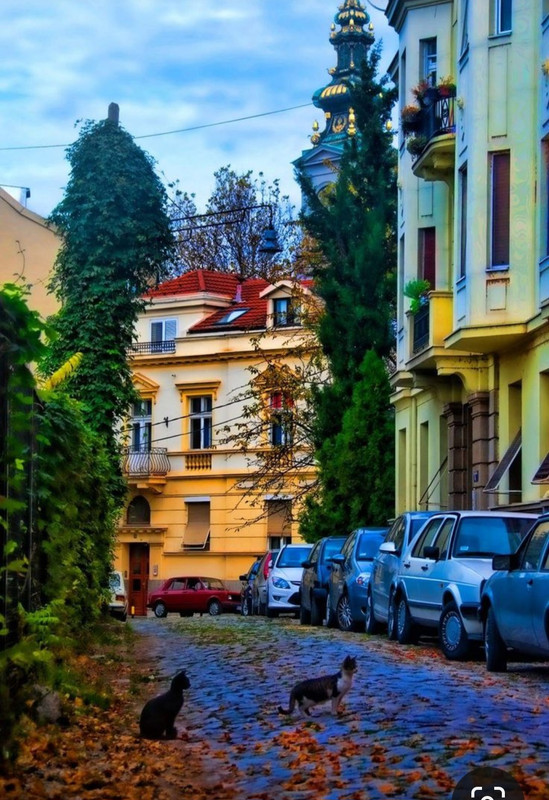 Screenshot_20231119_092915_Pinterest