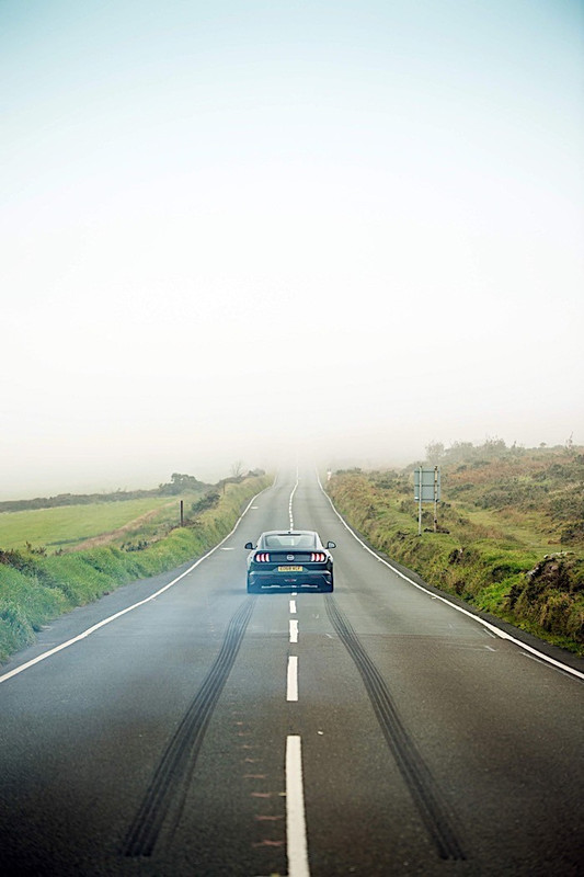 Ford Mustang Bullitt (9)