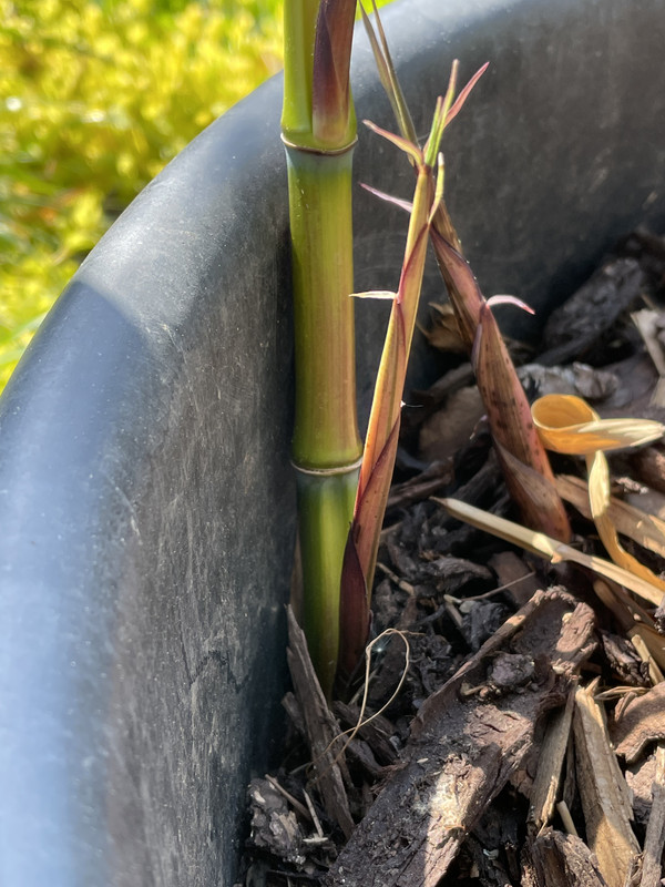 32FC7ACA-C9C6-4023-9811-4F780D1C2294