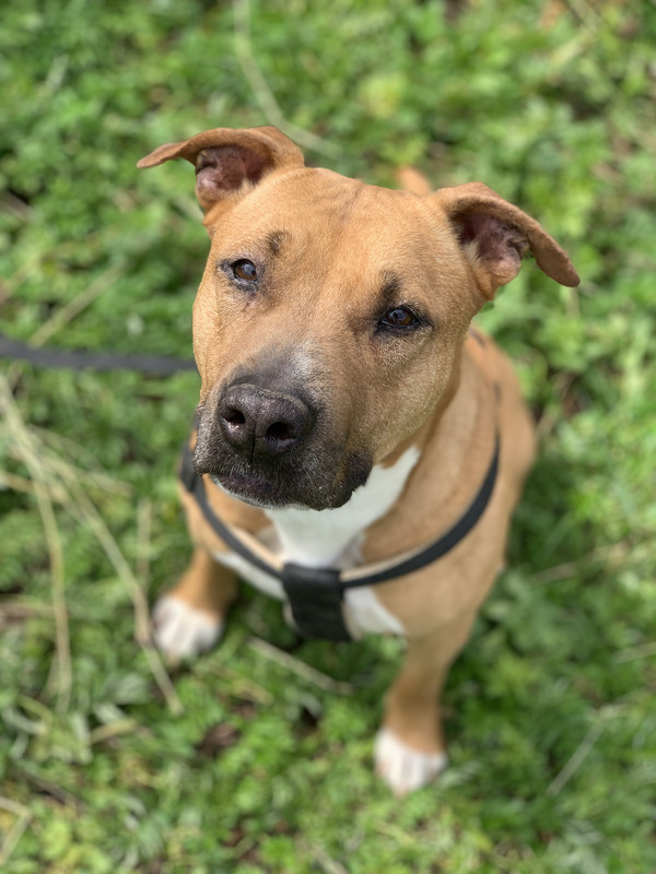 8B562FEA-20B3-4CBF-B314-2C43CDC592C2