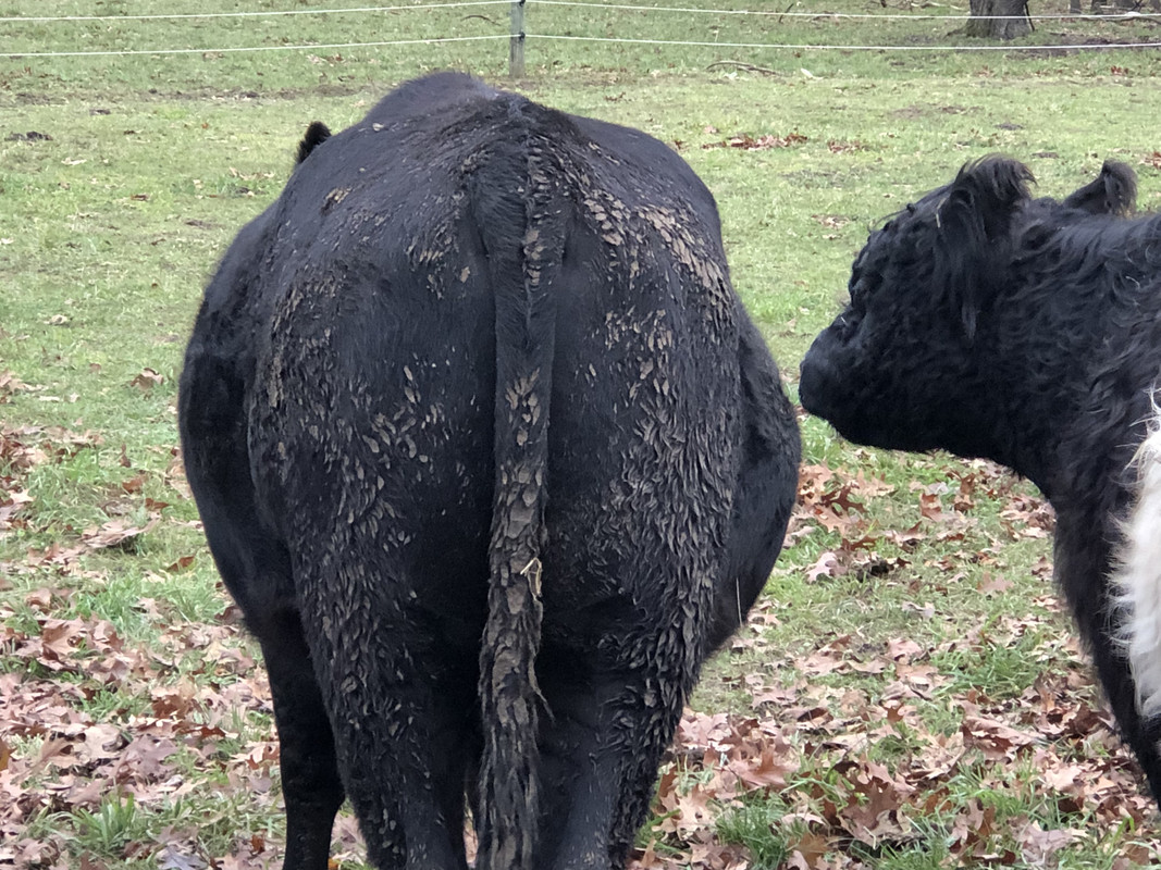 EE9E76C3-E863-40EF-8FDC-D71C104224A5