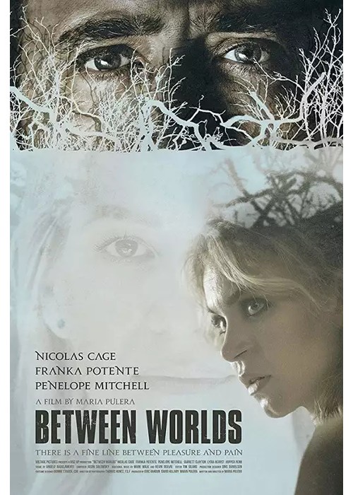 Powrót z zaświatów / Between Worlds (2018) PL.1080p.BluRay.x264-DSiTE / Lektor PL