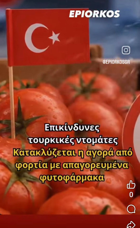 738206665 1656439255449891 6883126898614485380 n
