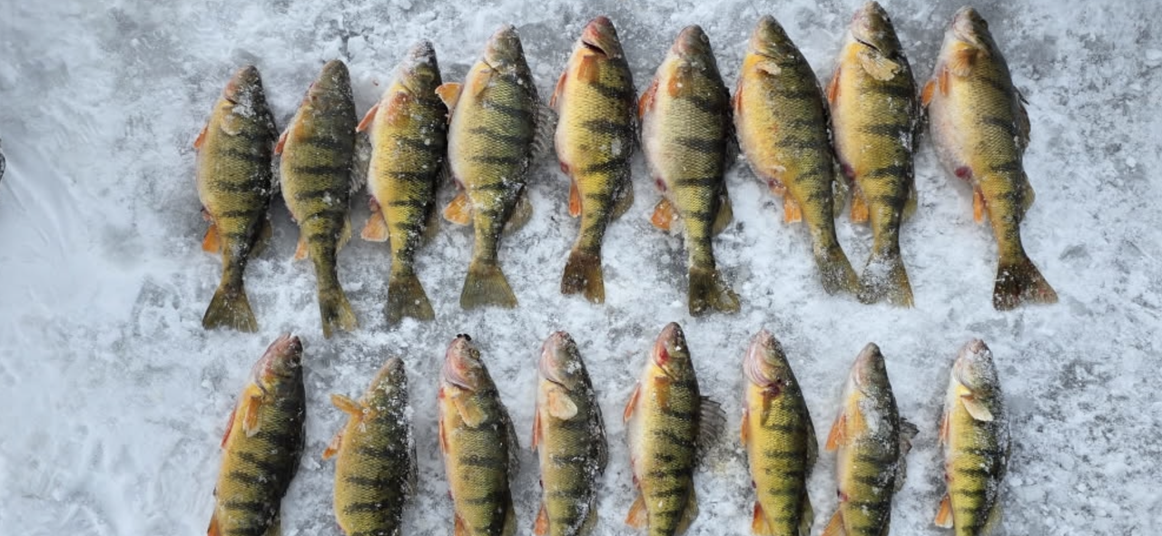 B63475D8-EBBA-40A3-A41B-DC6B938F1636