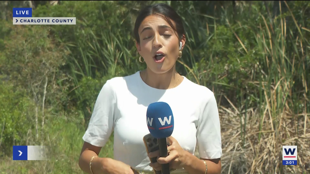 WINK News at 3pm_20250514_20002100.ts_snapshot_00.02.38.986