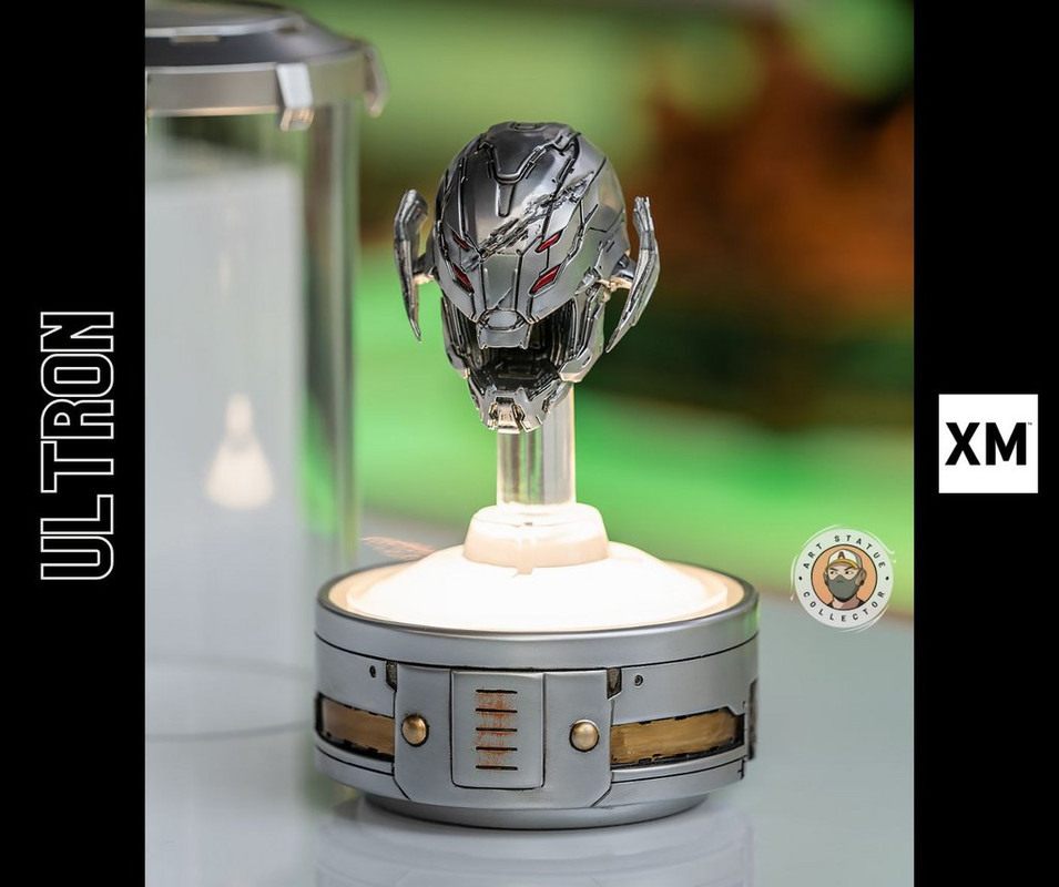 Premium Collectibles : Maestro 1/4 Statue 17