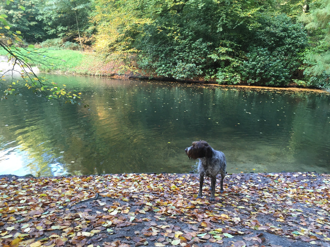 2023-29-10 Claire bij eendjesvijver IMG_2815 (002)