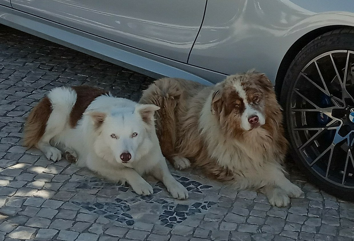 IMG-20190911-130840a.jpg
