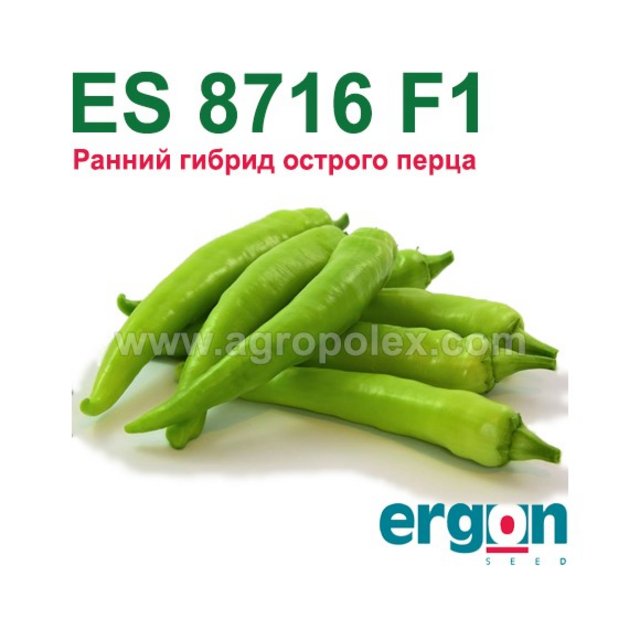 es8716f12-580x580.jpg