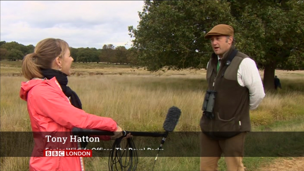 BBC London News_20201009_18301855.ts_snapshot_24.32.124