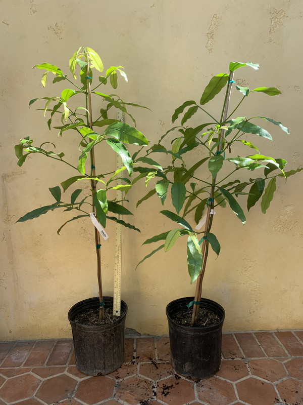 0238B824-B8E1-46D5-8CF0-1D436AFD59D4