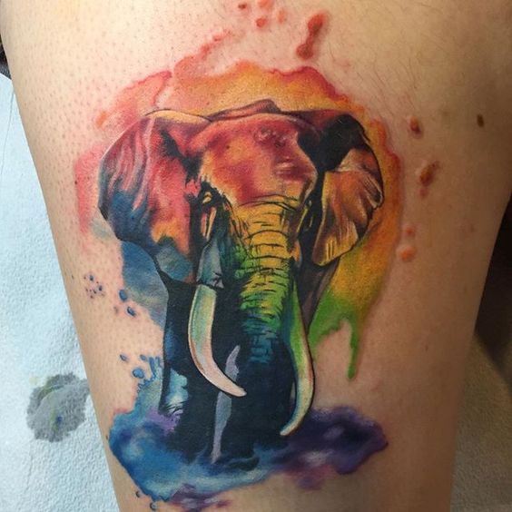 elephantbaby
