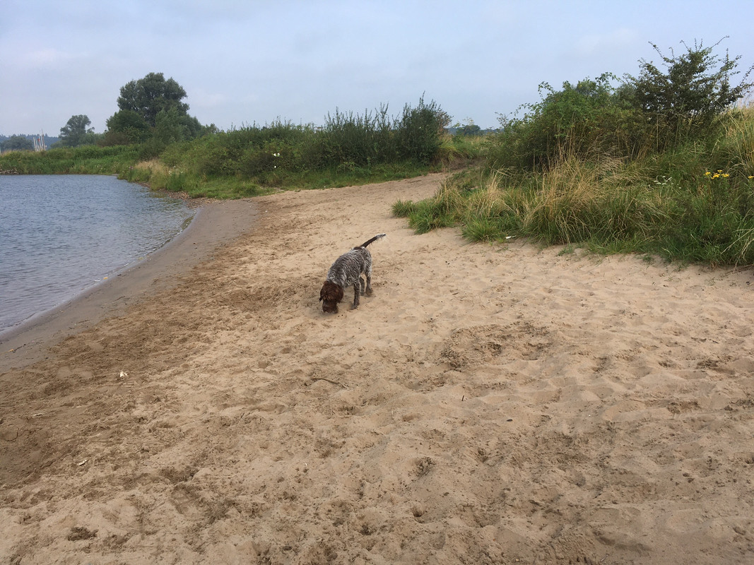 2024-03-08 Neuswerk 4 IMG_3940 (002)