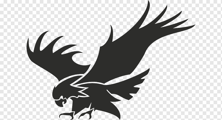 Logo Mirador del Águila