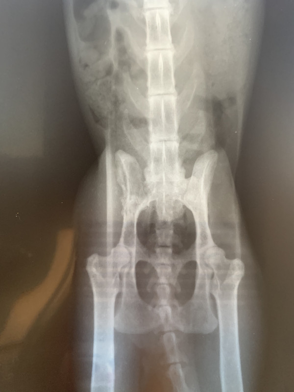 2742E615-149C-4D2F-BB4A-712A60B16573