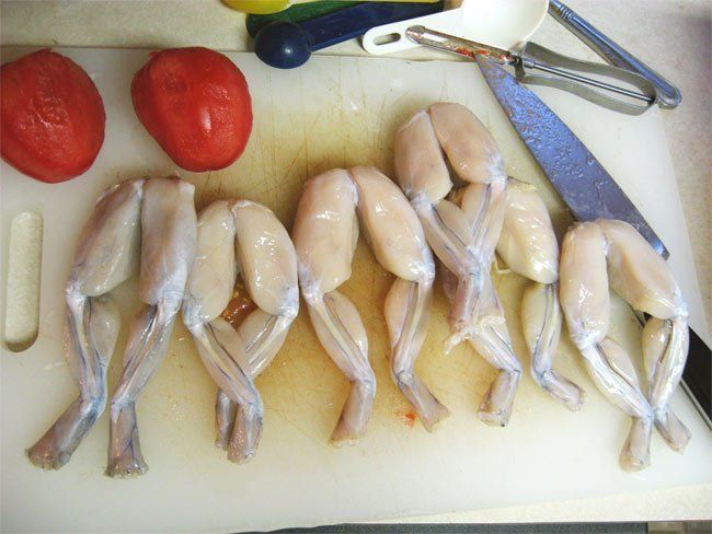 22522-175741-recetas-originales-ancas-de-rana-guisadas.jpg