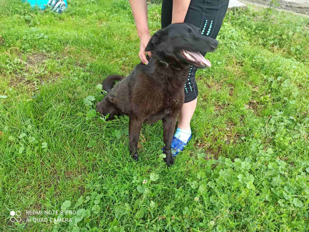 137D02C1-BEF5-4FB9-BF2B-B6E8C68CB93D