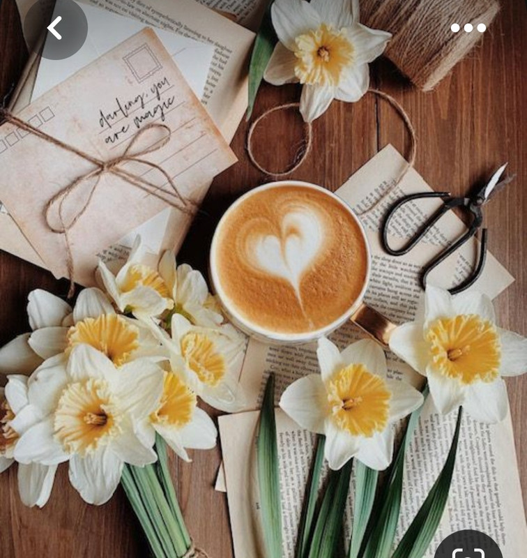 Screenshot_20230415_231318_Pinterest