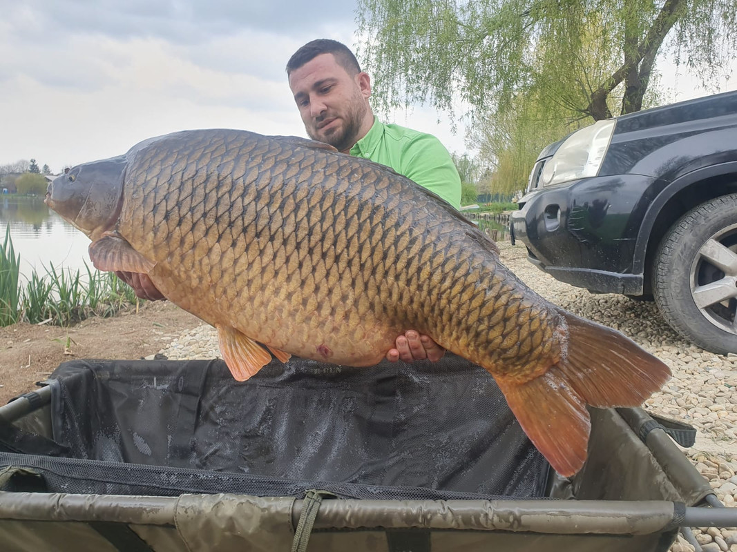 WhatsApp Image 2021-04-19 at 18.28.03 (11)