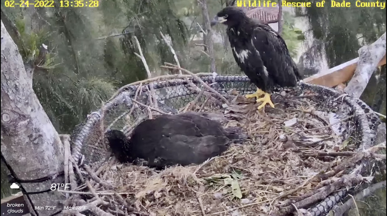 37DC8E93-3747-42A5-9497-A5D79AA1D004