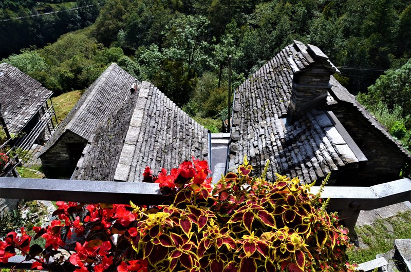 CORIPPO-8-9-2019 - Suiza y sus pueblos-2019 (54)