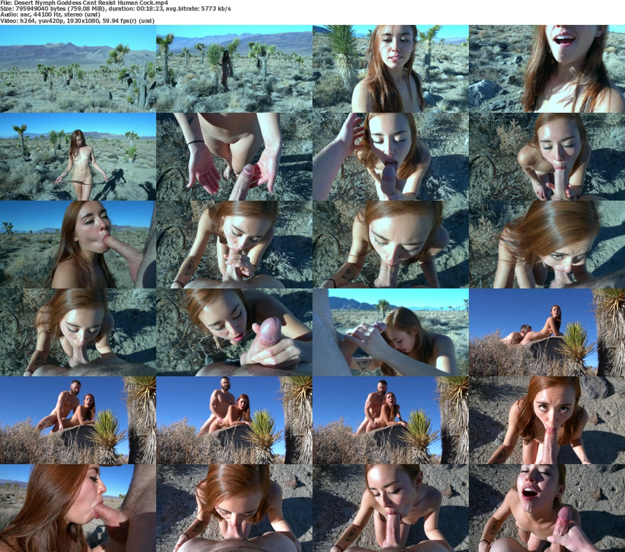 19102024080502screenshot