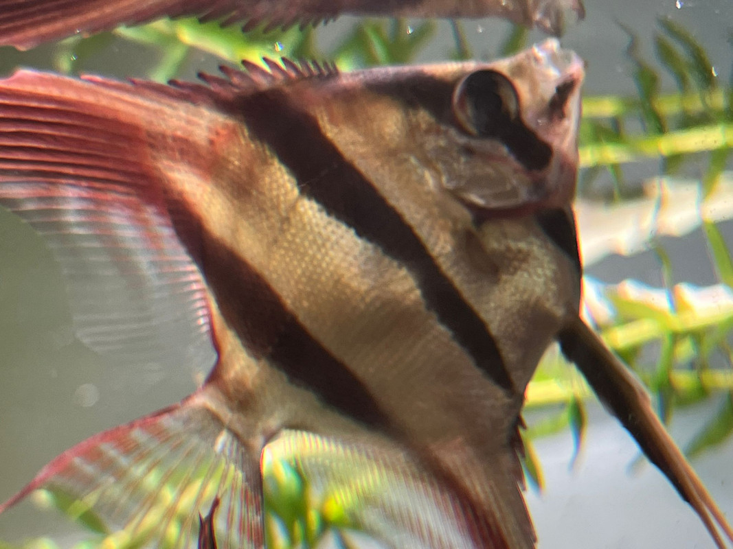 WhatsApp Image 2023-02-05 at 14.35.31 (1)