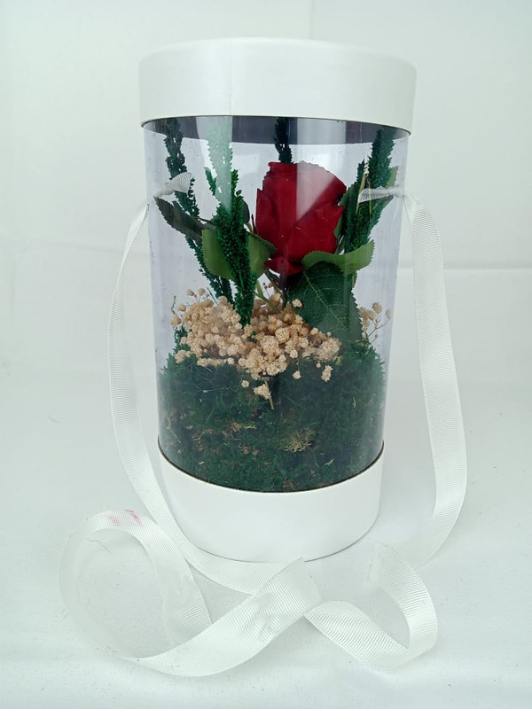 BOX CELINDER 1 ROSE ETERNEL