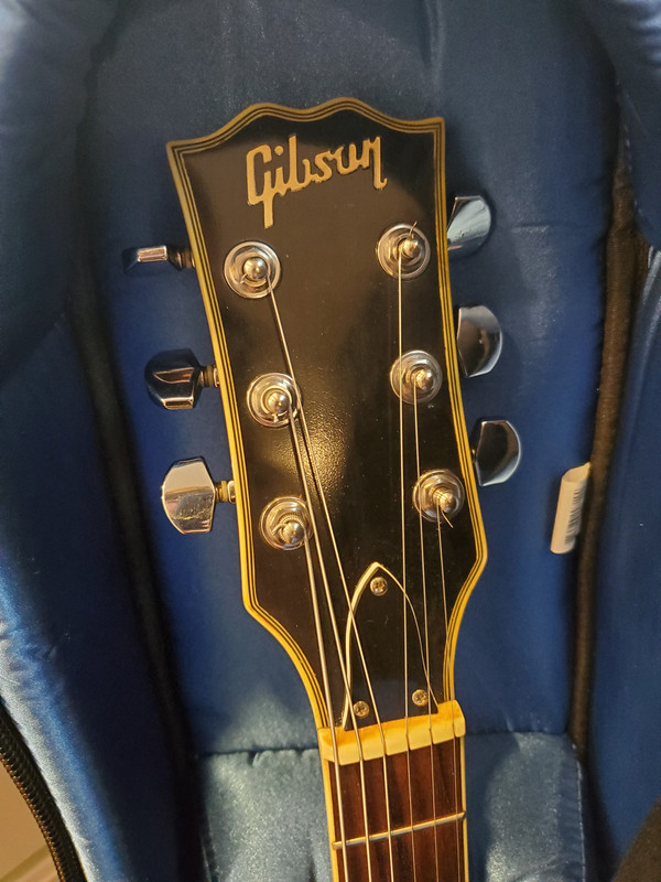 Can anyone identify this ES-335 copy? | Les Paul Forum