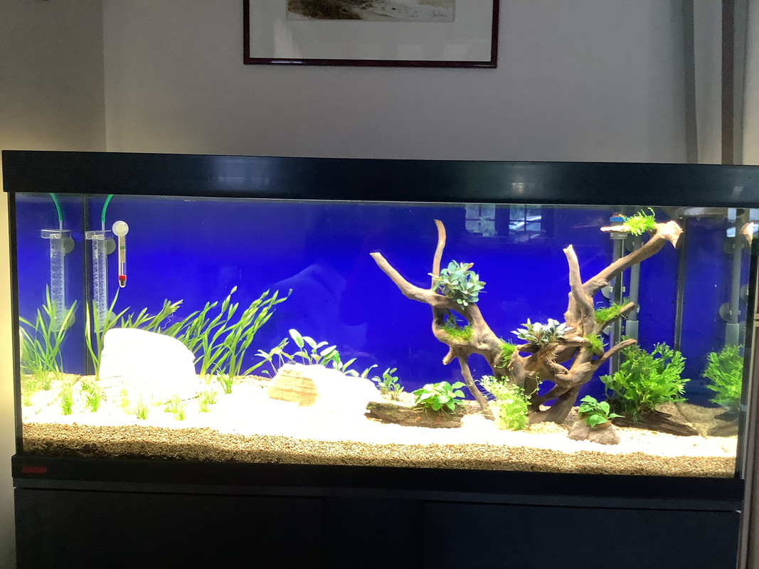 B92A83FC-D61E-4D17-B3C1-0684509C0BD6