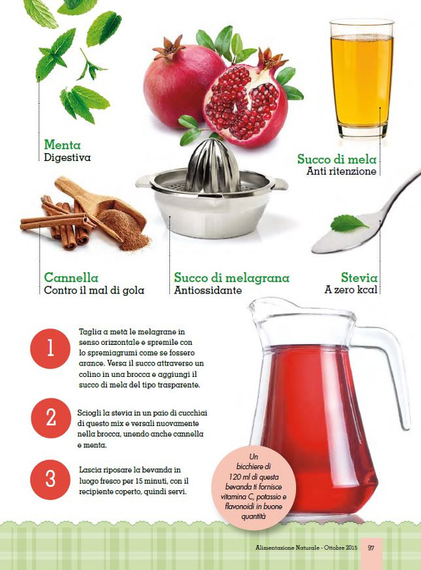 Alim Nat Ott 2015 (12)