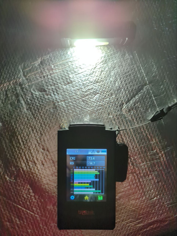 photo 1 2026 01 11 21 00 39