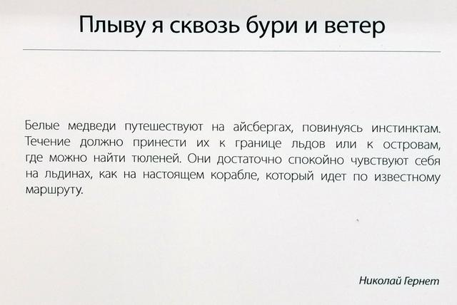 https://i.postimg.cc/tJS3ncqQ/093-IMG-20190123-122350.jpg