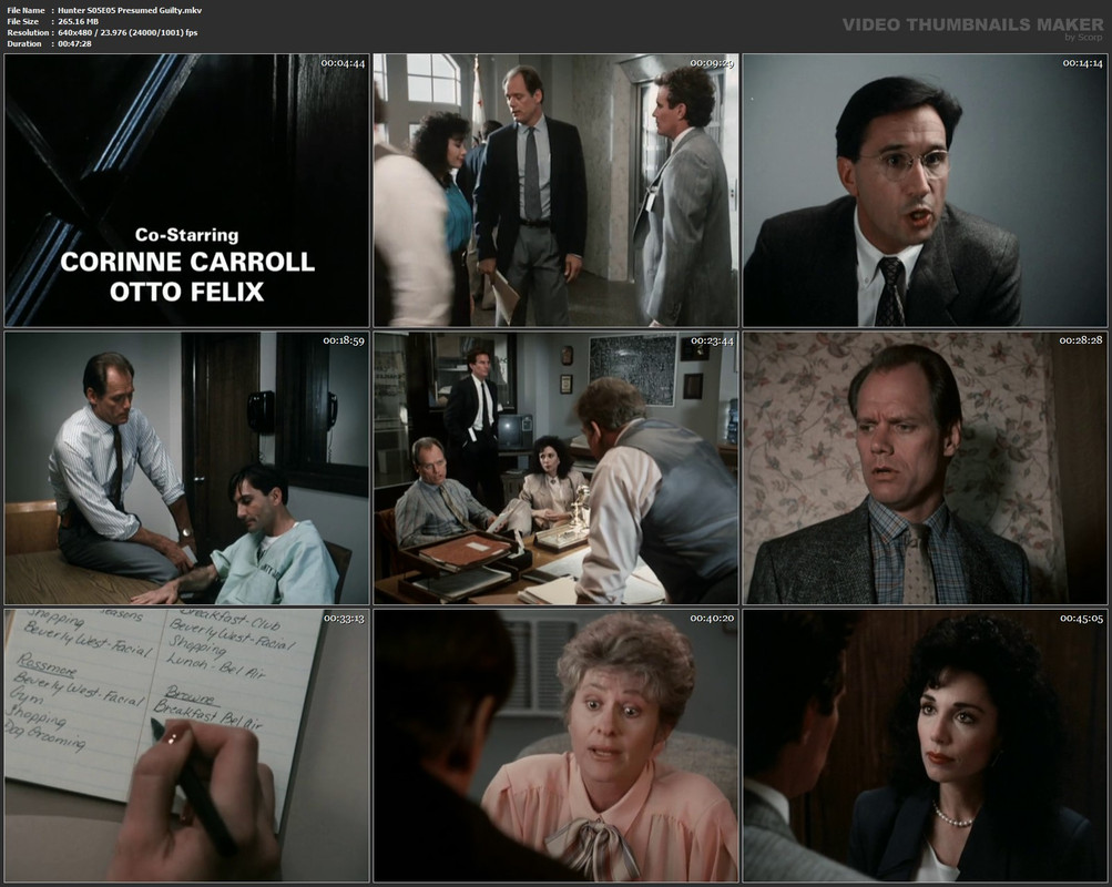 Hunter S05E05 Presumed Guilty.mkv