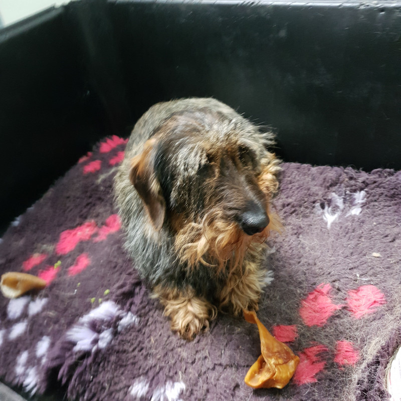 [Image: 20210506-154605.jpg]